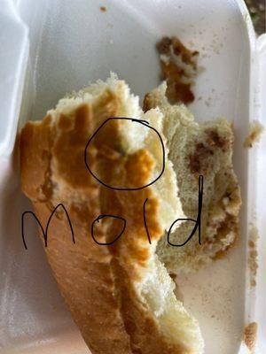 Mold!