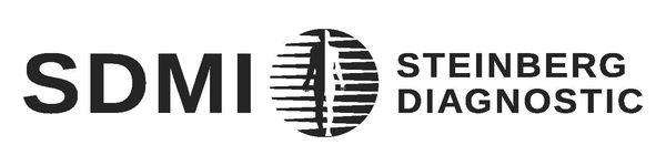 SDMI Logo