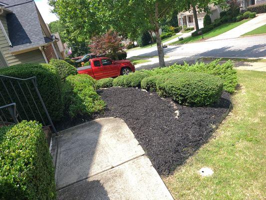 Mulch install and bush trimming