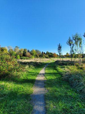 Genesee Park and Playfield