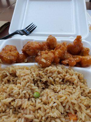 Worst Chinese food ever never will order this Never Ever nasty hard General Tao Chicken