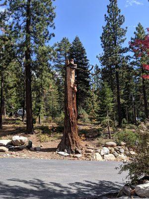 Easy to find! Just look for this awesome tree carving!