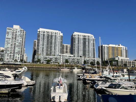 The view if you were lucky enough to score a dockside outdoor table