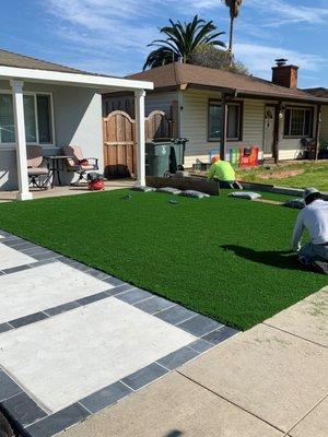 Synthetic lawn and new entry