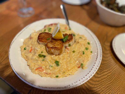 Lobster and scallop risotto--amazing