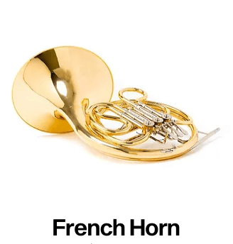 Rent a French horn and elevate your musical experience with AAA Band Rentals.