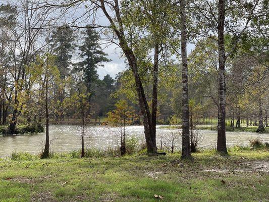 Pond views