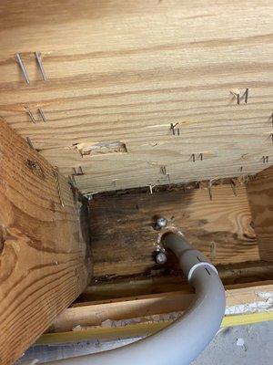 Rotten rim/joist