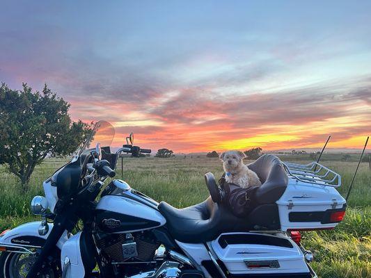 Tucker and his Harley