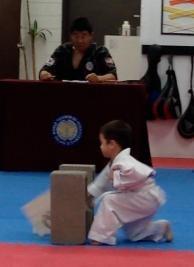 My four year old breaking his first wooden board during his yellow belt test.