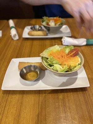 Salad & Spring Roll with Lunch