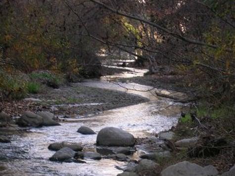 Arroyo Seco, Pasadena California