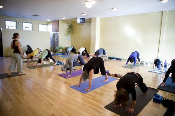 8 Limbs Yoga Centers - Wedgwood