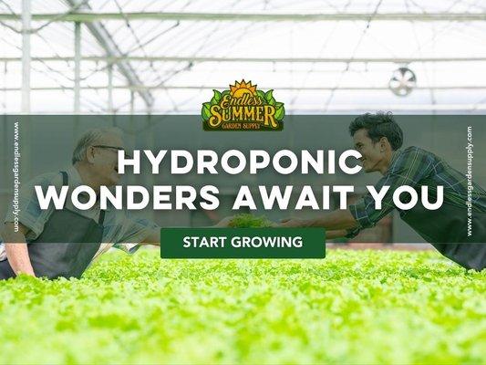 10_Endless Summer Garden Supply_Hydroponic Wonders Await You.jpg