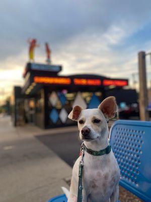 Brought the dog to Super Dawg!!