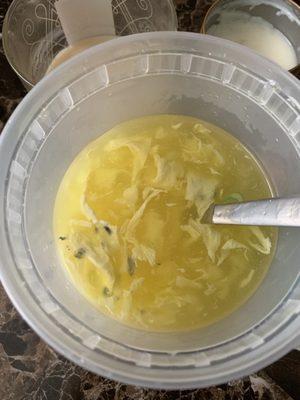 MOLDY Egg drop soup