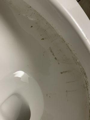 Moldy toilet