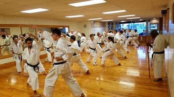 All-levels Kangeiko Winter Training 2018.