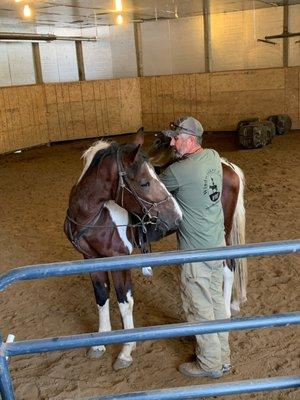 tim training a young colt