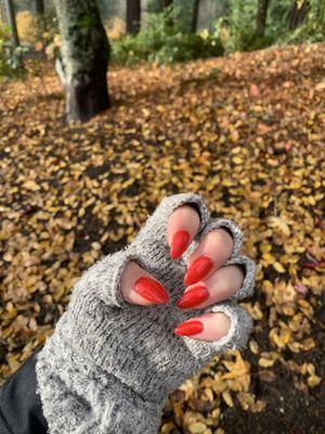 The Herbal Nail Spa