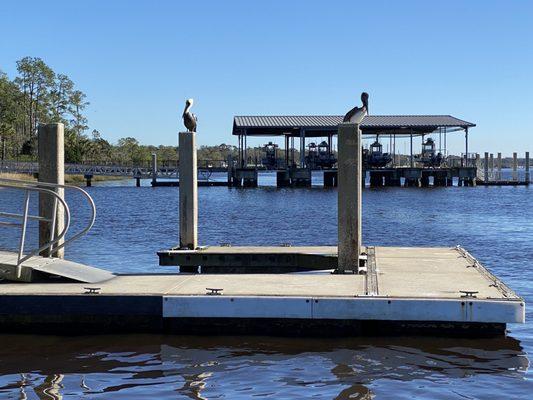 Kayak launch