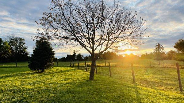 Sunset over farm