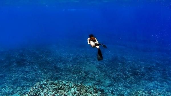 Snorkeling at Lehua rock - Into the Blue - All pictures from Niihau/Napali 7 Hour Tour!