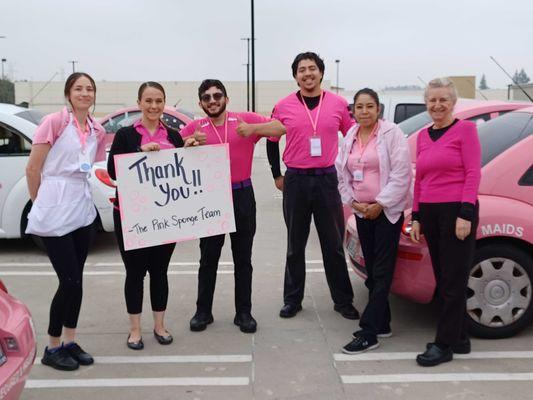 Pink Sponge Maids