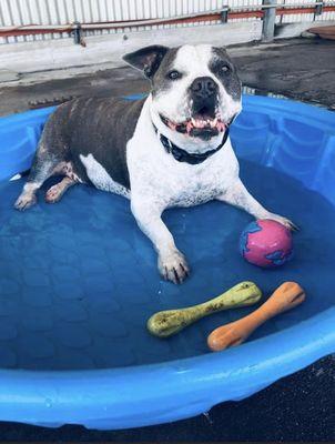 Pool time! -Bronx