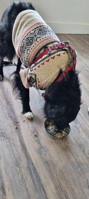 Four-Legged rice food bowl