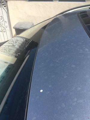 Picture of the top of my car once I got home.  I wasn't able to dry the top of my car and the dirty water left many water spots.