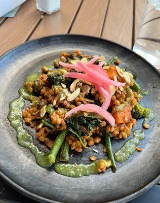 Vegetarian farro dish