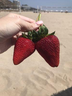 Terry Berries at the beach!