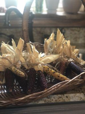 Decorative corn available in late summer.