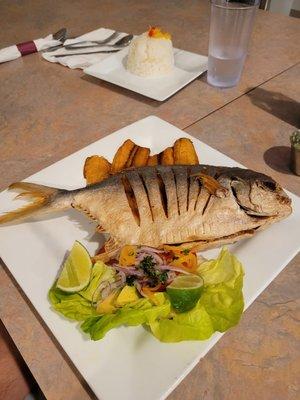 Pescado frito