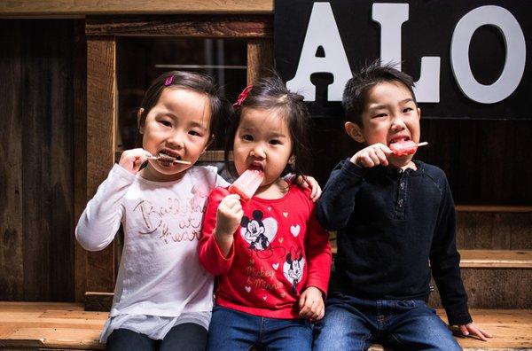 Mom and Pop Shop Popsicles Photo by Lisa hu Chen