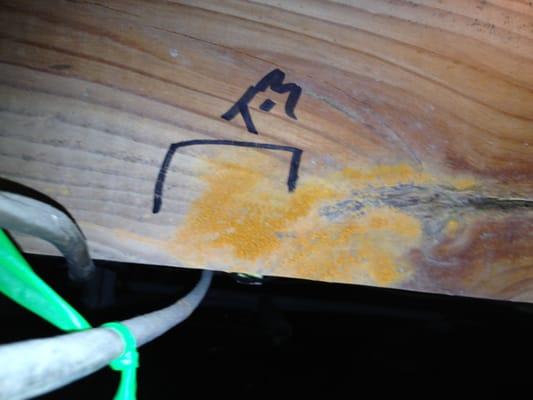 Moldy crawl space? You guessed it we can fix it!