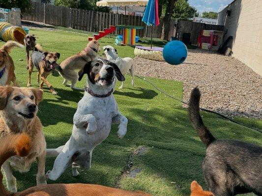 Playtime at one of the outdoor areas