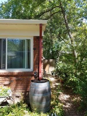 Rain Barrel