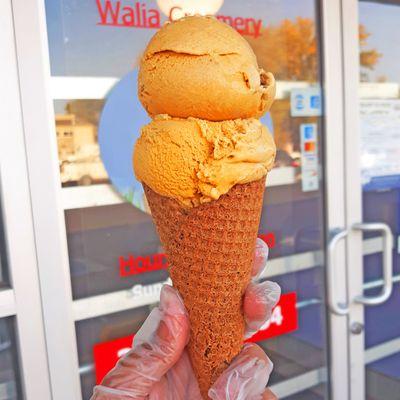 Vegan Sweet Potato Ice Cream in a gluten-free cinnamon waffle cone