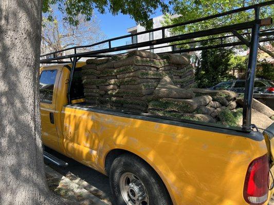 Our front lawn in Jose's truck!