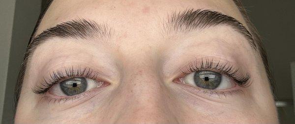 Down angle of lash lift (next day)