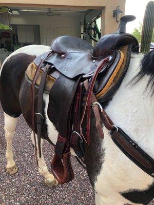 Tack and saddle