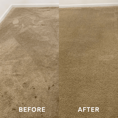 Bedroom Carpet Cleaning