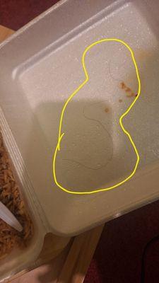 The hair strand on the top flap of the to go plate