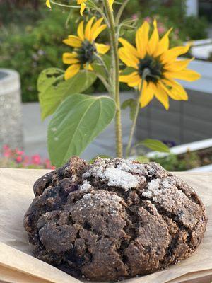 GF blueberry scone