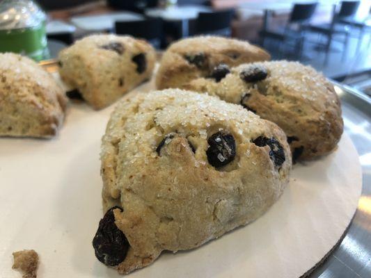 Blueberry lemon scones. A Saturday surprise. Bakers choice.