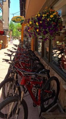 Flowers are blooming and bikes are ready for renting.