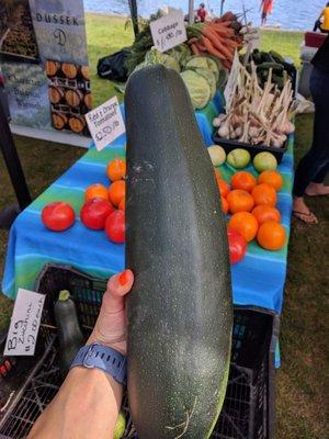 Giant zucchini for $2!