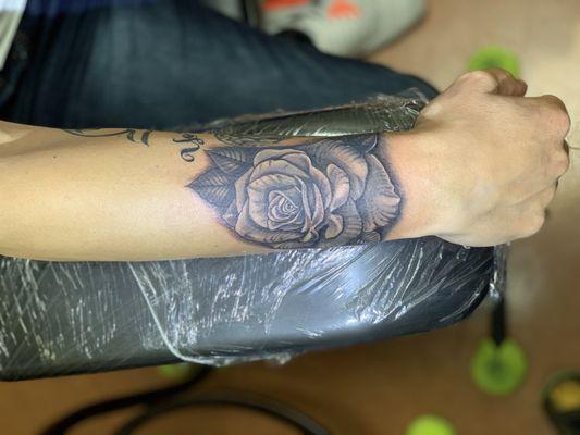 Detailed rose by TJ